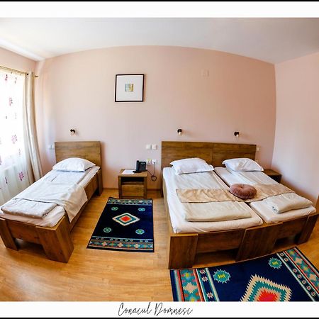 Conacul Domnesc Hotel Scheia ภายนอก รูปภาพ