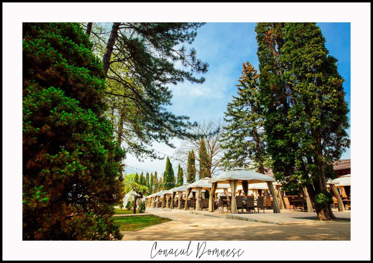 Conacul Domnesc Hotel Scheia ภายนอก รูปภาพ