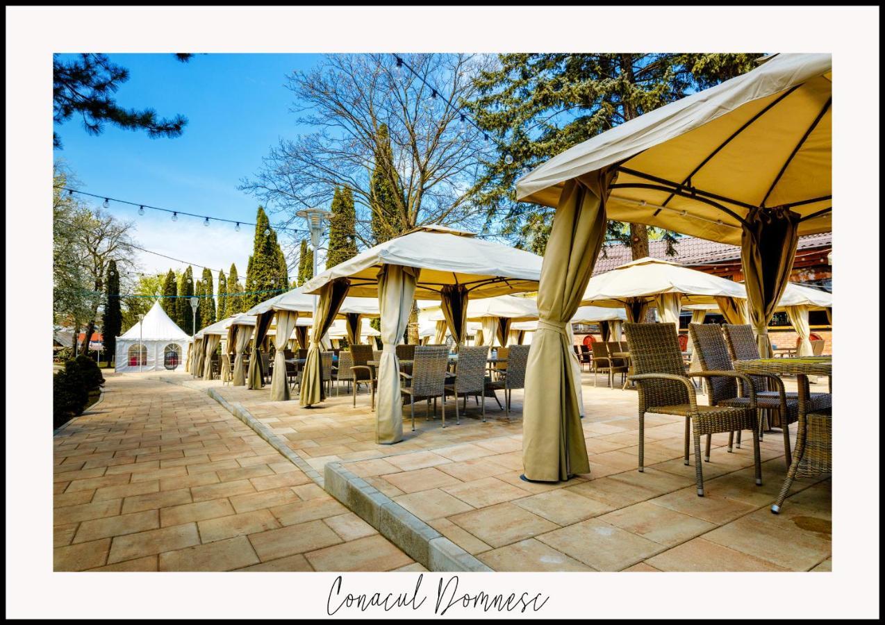 Conacul Domnesc Hotel Scheia ภายนอก รูปภาพ