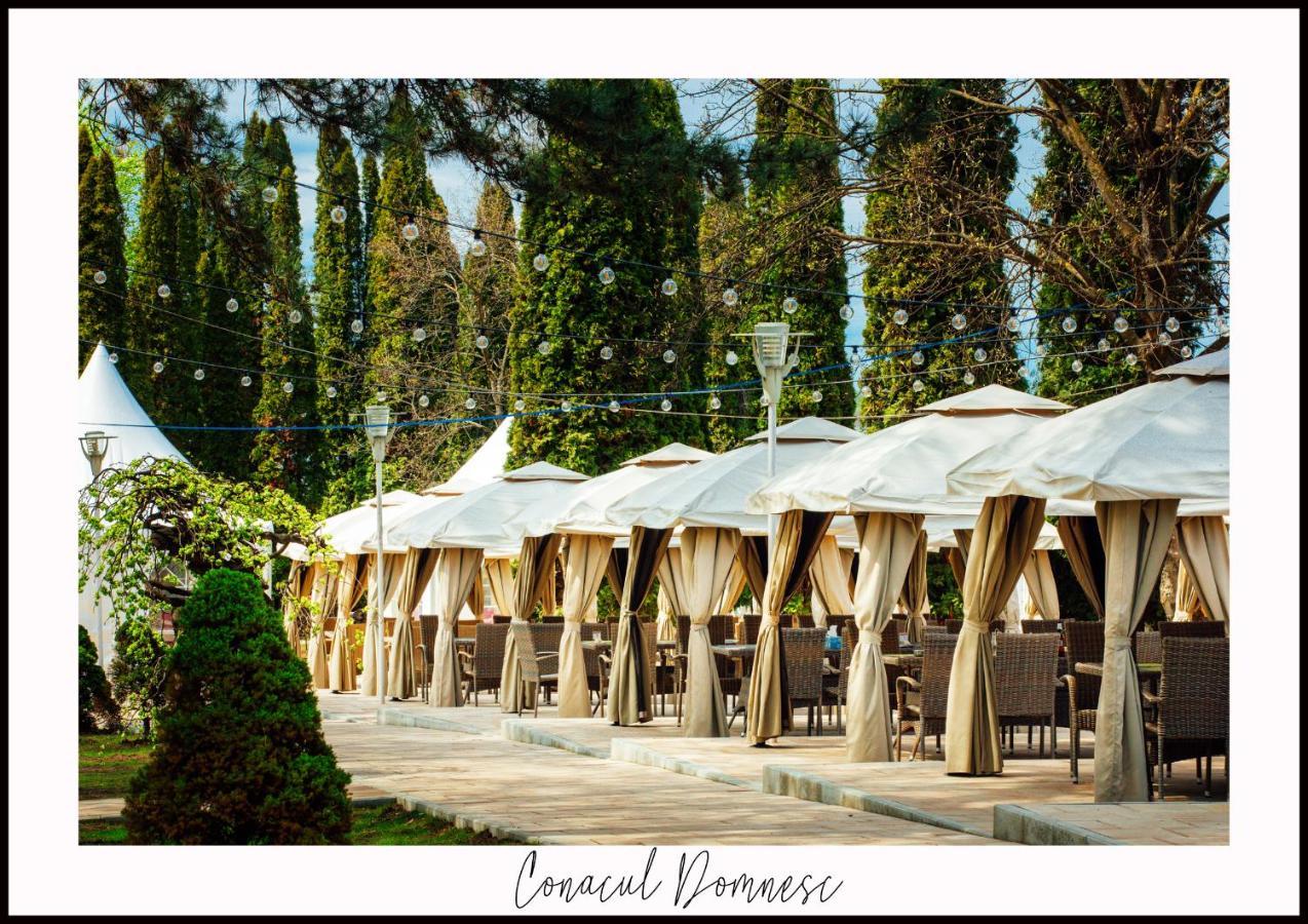 Conacul Domnesc Hotel Scheia ภายนอก รูปภาพ
